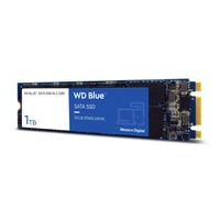 Disque dur SSD Western Digital WD Blue 1TB M.2 2280 SATA 6Gb/s TLC | WDS100T3B0B